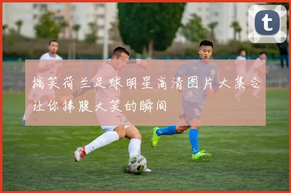 搞笑荷兰足球明星高清图片大集合让你捧腹大笑的瞬间