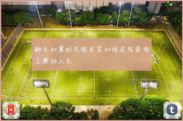 脚长如翼的足球巨星如何在绿茵场上舞动人生