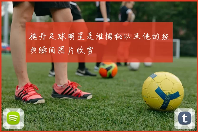 施丹足球明星是谁揭秘以及他的经典瞬间图片欣赏