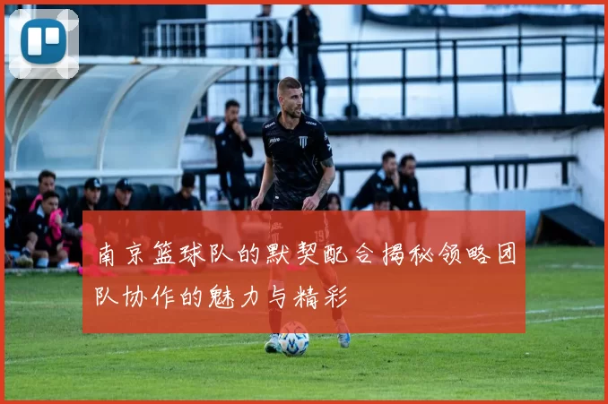 南京篮球队的默契配合揭秘领略团队协作的魅力与精彩
