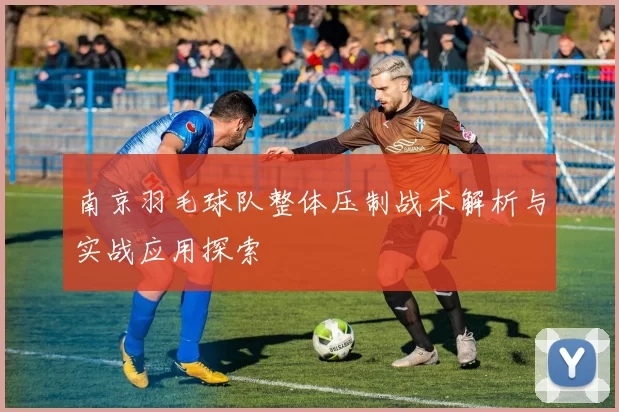 南京羽毛球队整体压制战术解析与实战应用探索