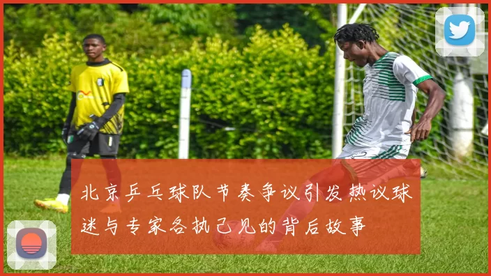 北京乒乓球队节奏争议引发热议球迷与专家各执己见的背后故事