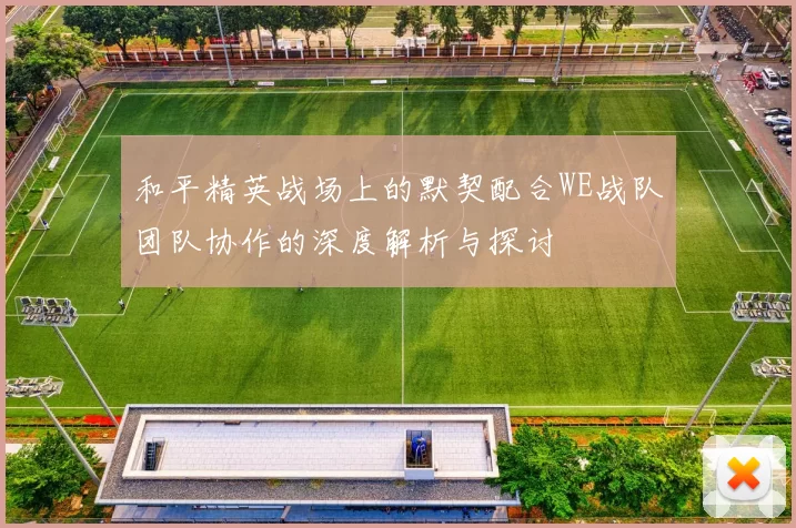 和平精英战场上的默契配合WE战队团队协作的深度解析与探讨