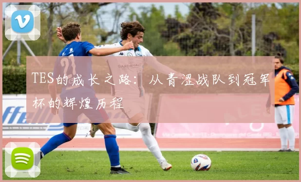 TES的成长之路：从青涩战队到冠军杯的辉煌历程