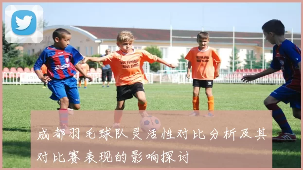 成都羽毛球队灵活性对比分析及其对比赛表现的影响探讨