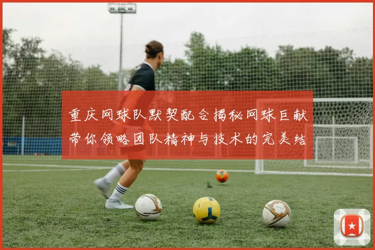 重庆网球队默契配合揭秘网球巨献带你领略团队精神与技术的完美结合