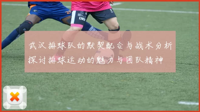 武汉排球队的默契配合与战术分析探讨排球运动的魅力与团队精神