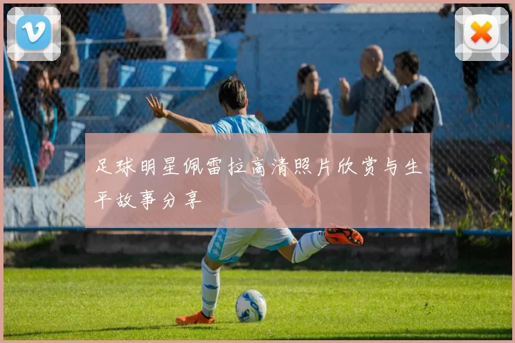 足球明星佩雷拉高清照片欣赏与生平故事分享
