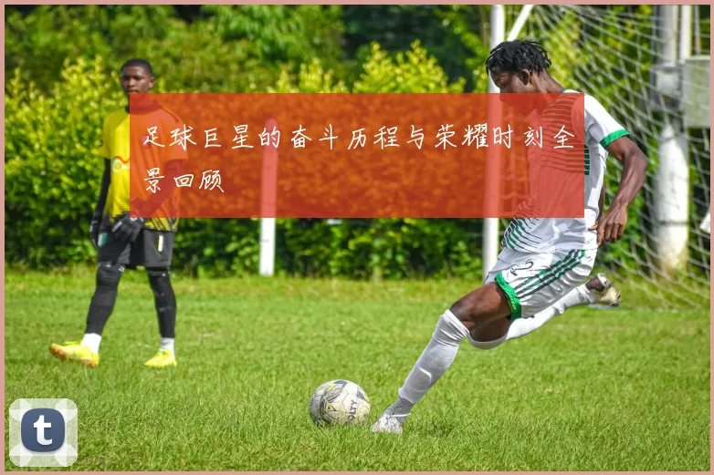 足球巨星的奋斗历程与荣耀时刻全景回顾