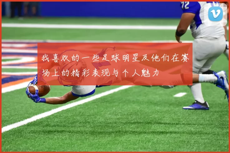 我喜欢的一些足球明星及他们在赛场上的精彩表现与个人魅力