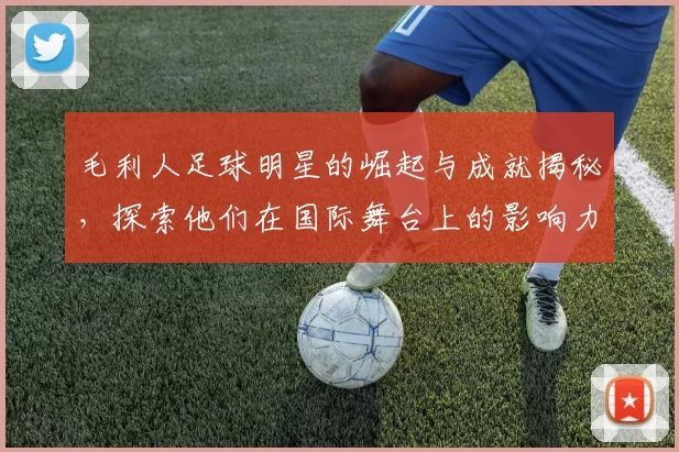 毛利人足球明星的崛起与成就揭秘，探索他们在国际舞台上的影响力与故事