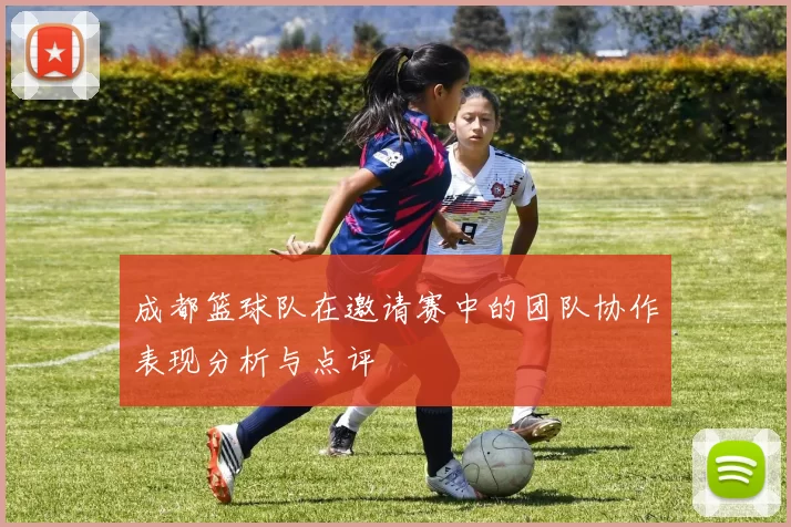 成都篮球队在邀请赛中的团队协作表现分析与点评