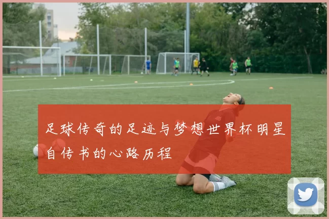 足球传奇的足迹与梦想世界杯明星自传书的心路历程