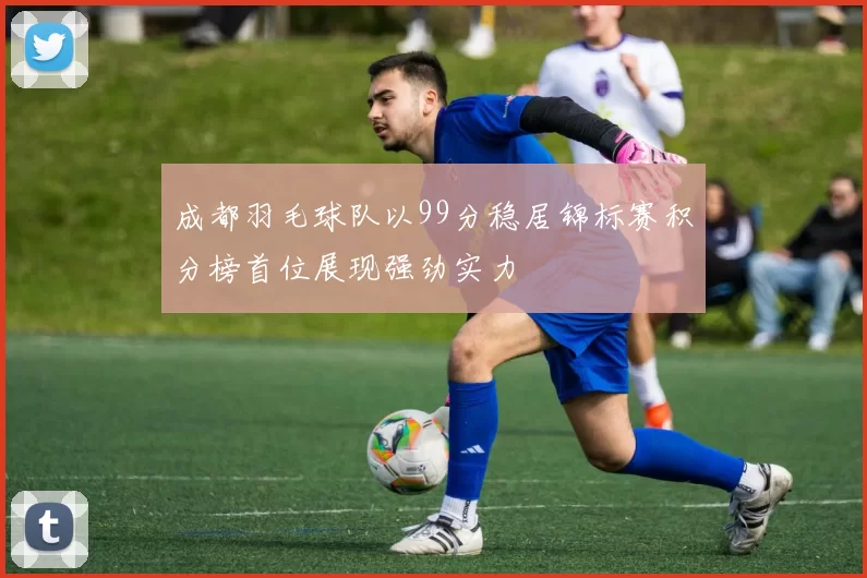 成都羽毛球队以99分稳居锦标赛积分榜首位展现强劲实力