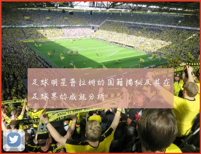 足球明星普拉姆的国籍揭秘及其在足球界的成就分析