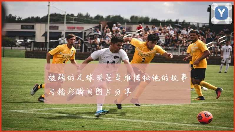 被踢的足球明星是谁揭秘他的故事与精彩瞬间图片分享