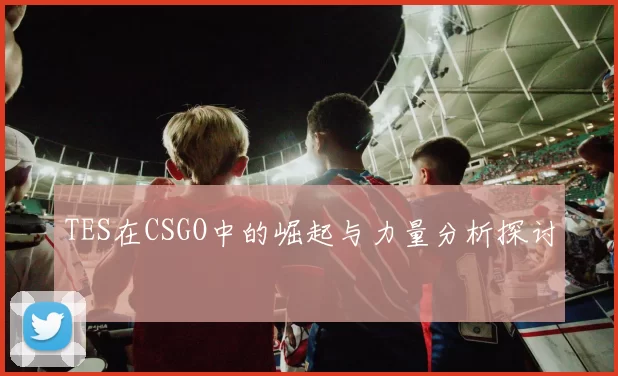 TES在CSGO中的崛起与力量分析探讨