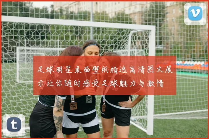 足球明星桌面壁纸精选高清图文展示让你随时感受足球魅力与激情