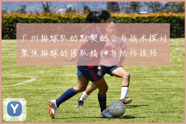 广州排球队的默契配合与战术探讨聚焦排球的团队精神与协作技巧