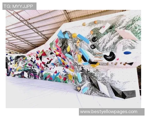 武汉攀岩队协作新模式探索热议攀岩运动的未来发展与挑战