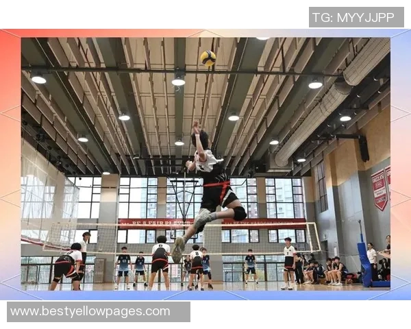 成都排球队战术揭秘：从细节到整体的排球艺术探索