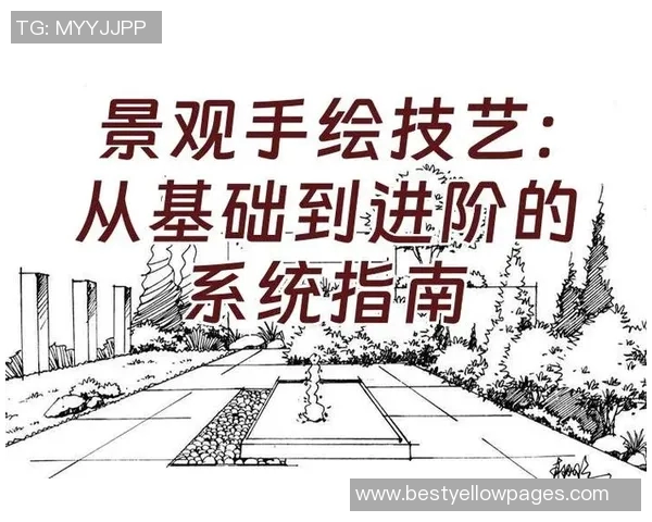 提升竞技水平的关键要素及训练方法探析：从基础到高级的系统性进阶指南