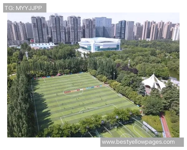 西安足球队反击战术解析与实战应用深度剖析