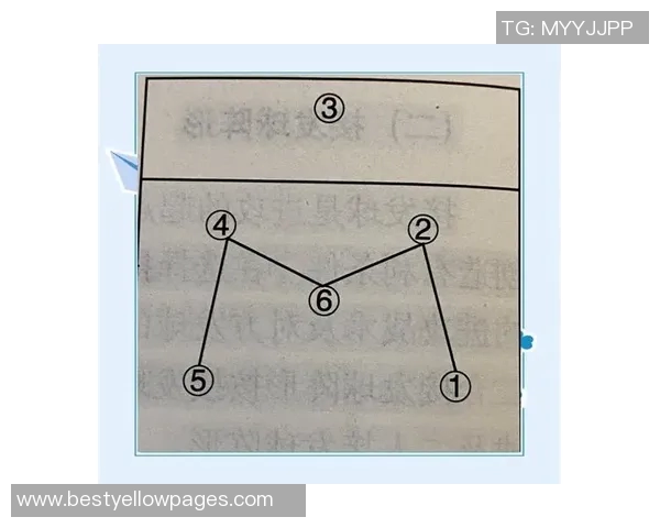 深圳排球队的战术解析与控制能力深度剖析