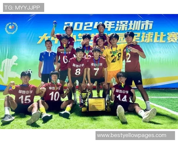 深圳足球队的转型之路：从低谷到巅峰的奋斗与追求